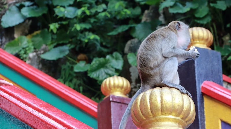 batu caves kuala lumpur