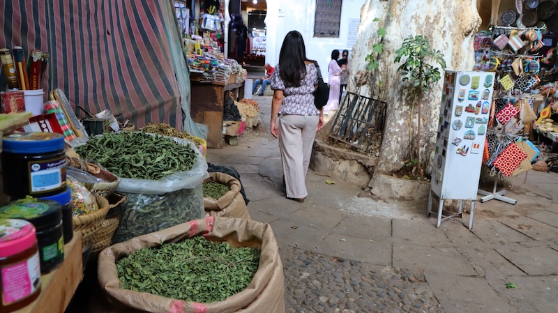 Fez el bali medina