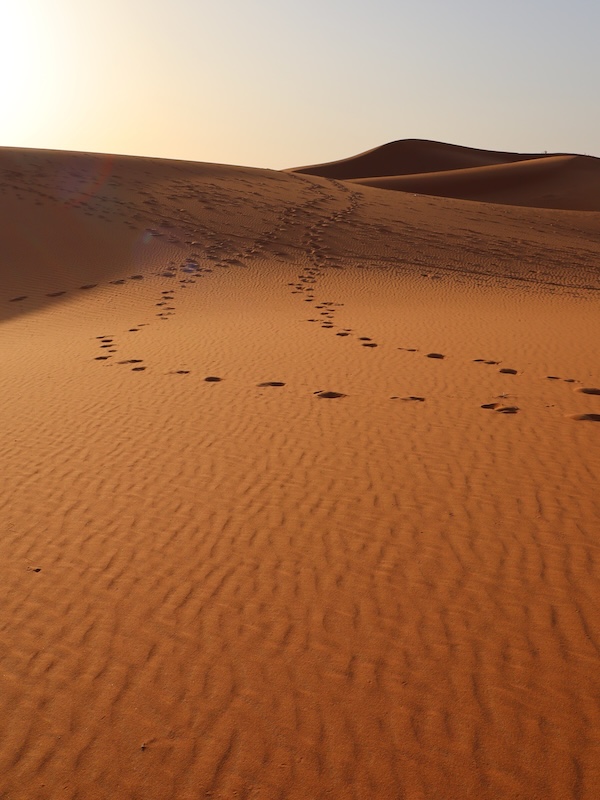 erg_chebbi_desert_marocco_merzouga