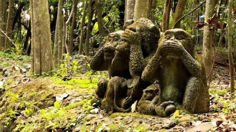 monkey_forest_ubud
