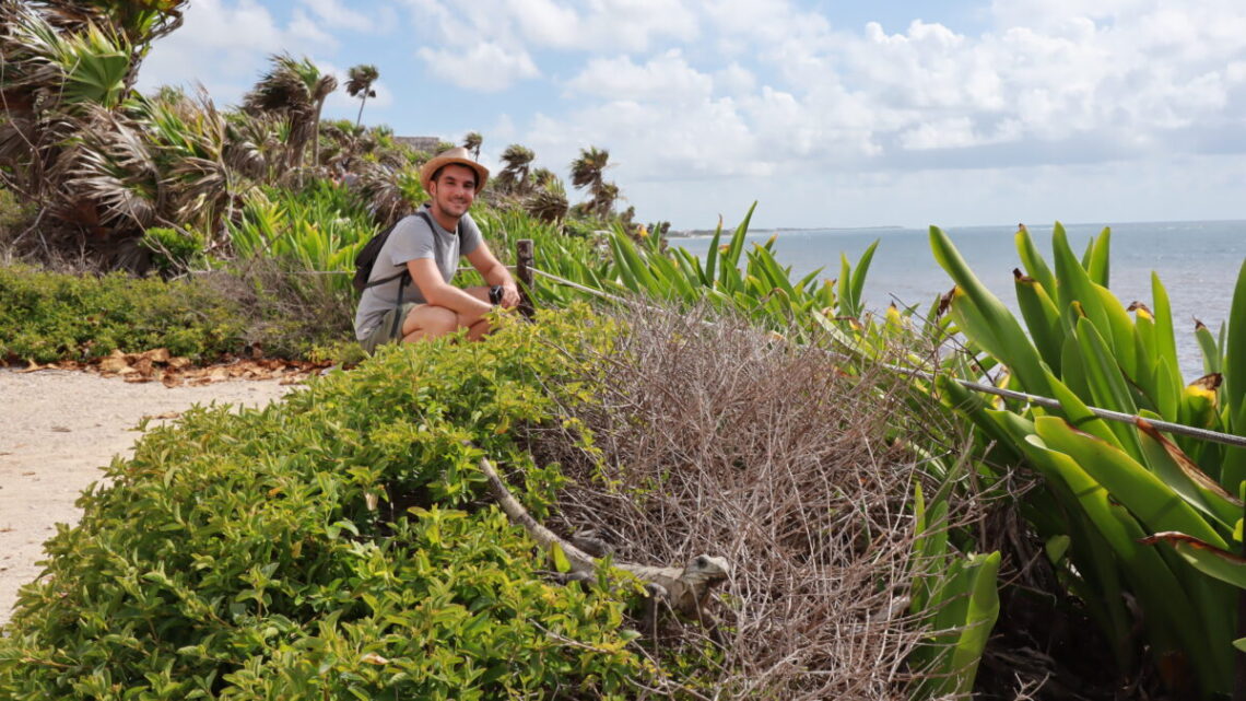 rovine_maya_tulum
