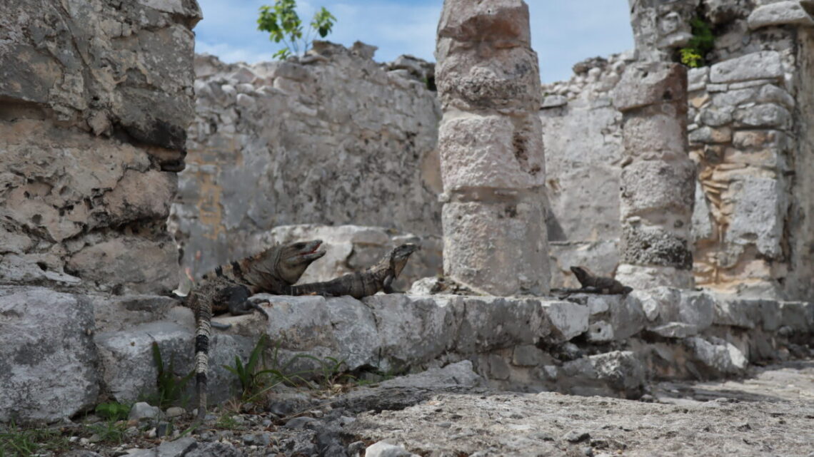 rovine_maya_tulum