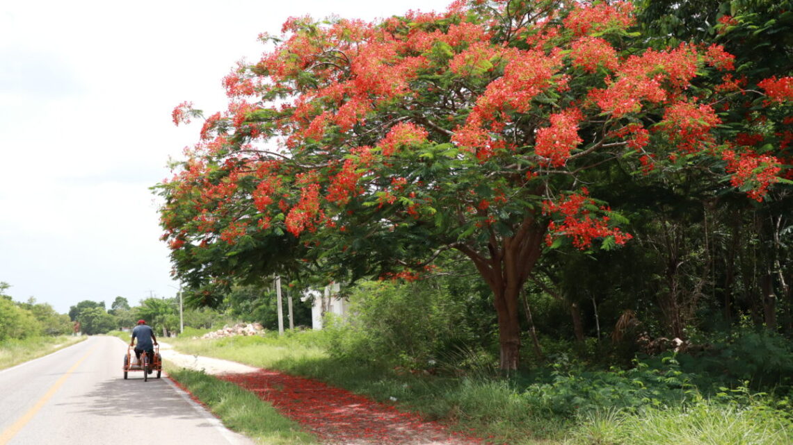 yucatan