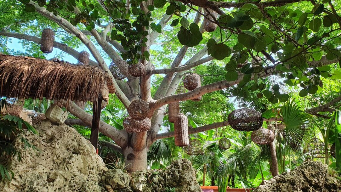 isla_mujeres