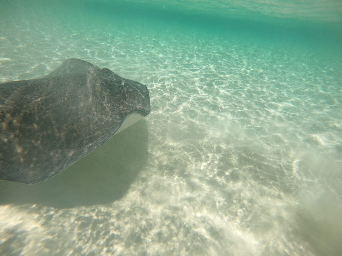 cozumel_mexico