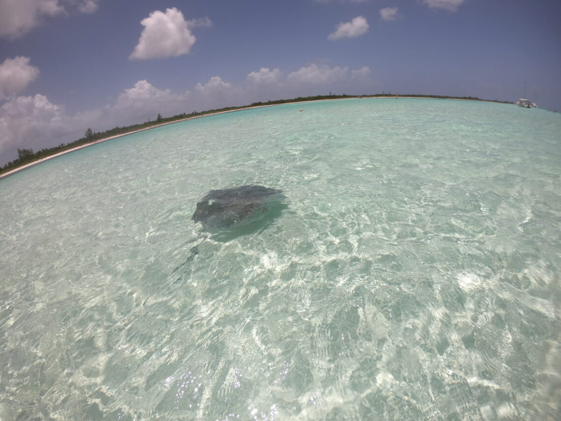 cozumel_mexico