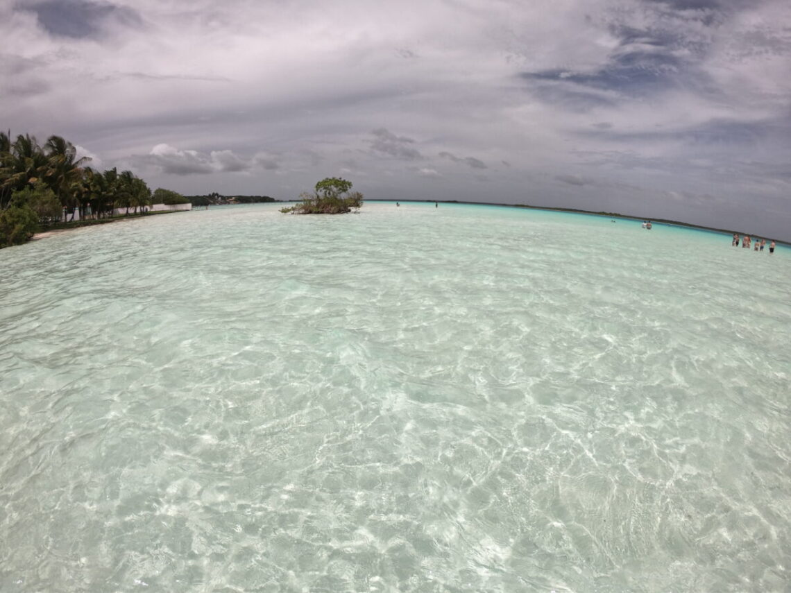 bacalar