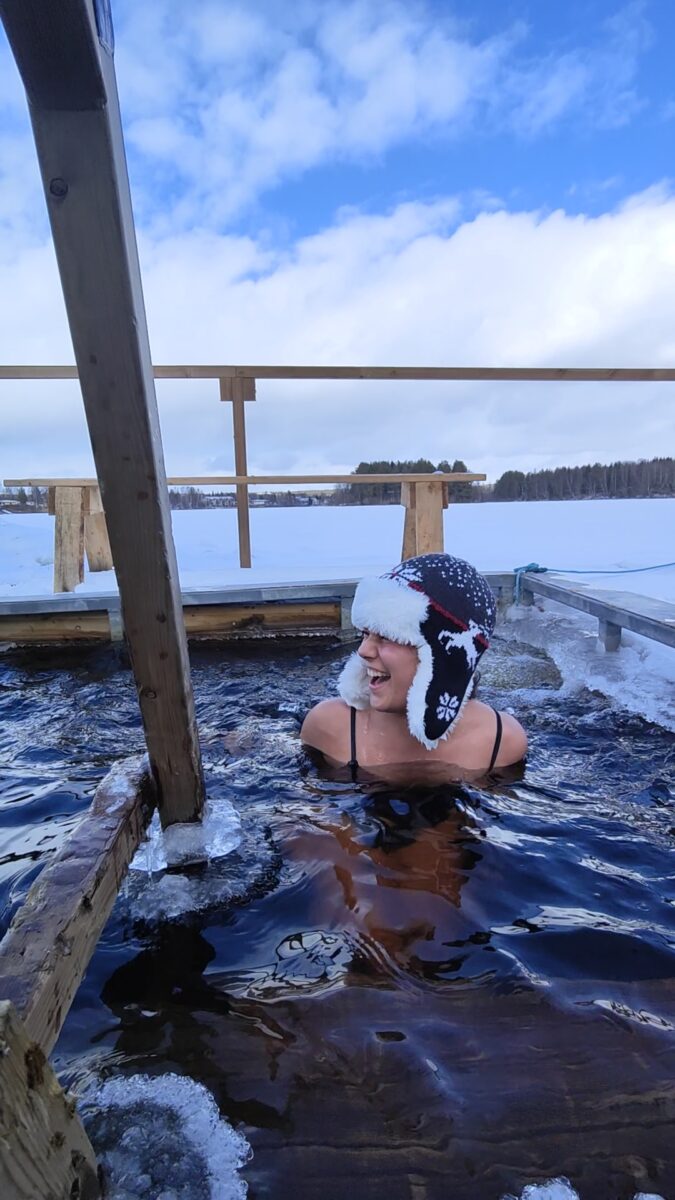 sauna_lapponia
