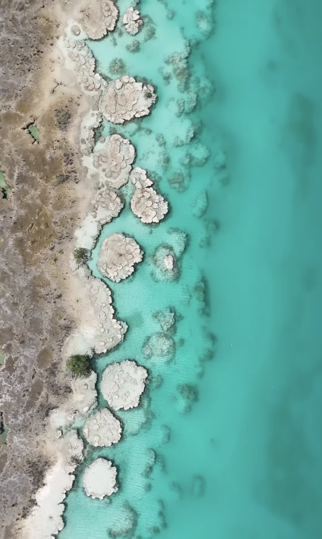 los_rapidos_bacalar