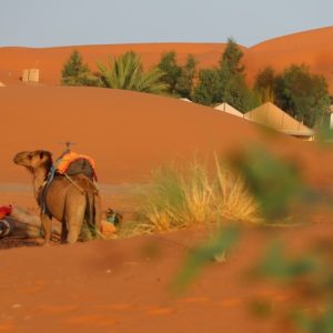 erg_chebbi_desert_merzouga_marocco