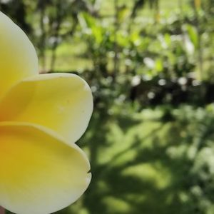 BALI – ITINERARIO – 1 SETTIMANA – La magia dell’isola degli Dei